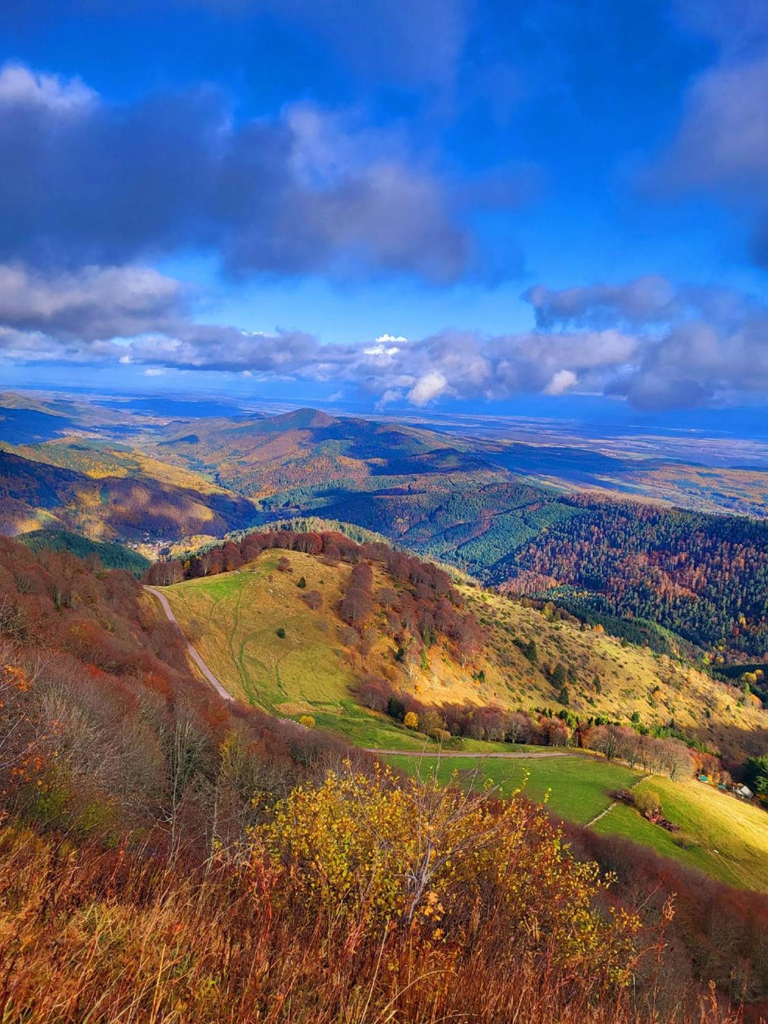 Le Panorama Du Murat Mulhouse Riedisheim 68 Haut-Rhin Alsace Saint-Louis Exterior foto